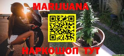 стаф Ливны