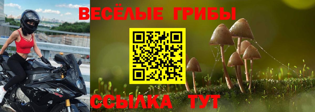 Псилоцибиновые грибы мицелий Калининград