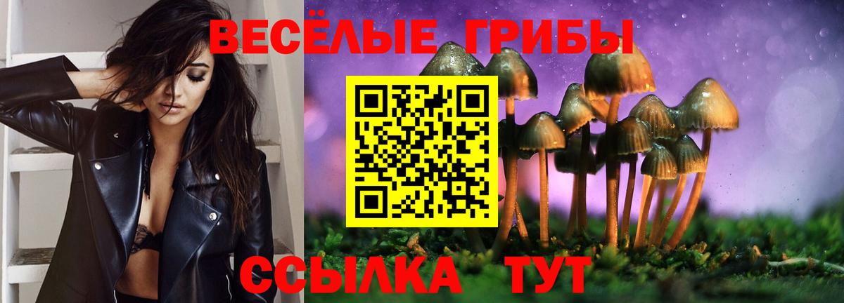 Псилоцибиновые грибы Psilocybine cubensis  Вход с VPN  Калининград 